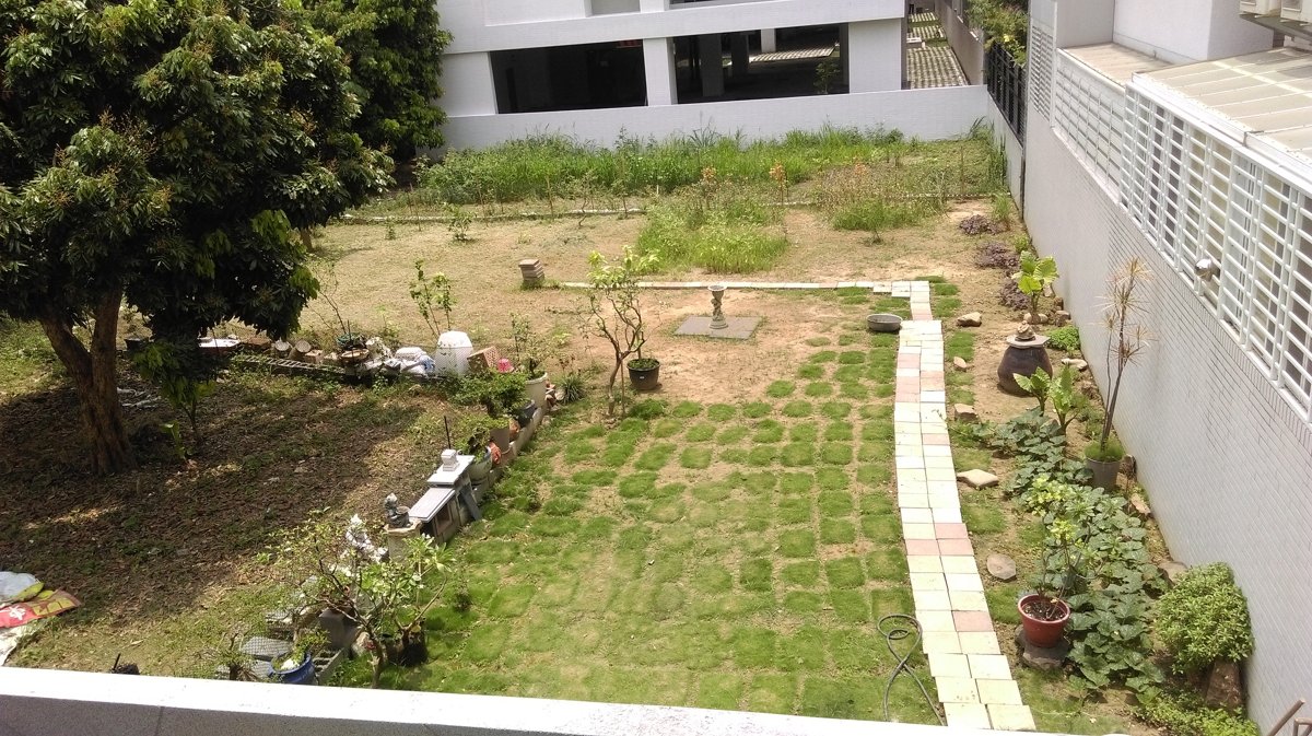 2016 05 19 4~5月的花海由來~ 我家也有快樂花園 2016 05 19 4~5月的花海由來~ 我家也有快樂花園